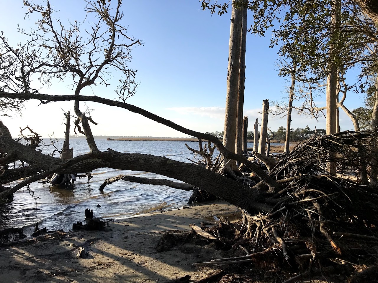 Nags Head Woods Preserve