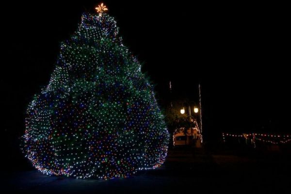 Town of ManteoChristmas Tree Lighting