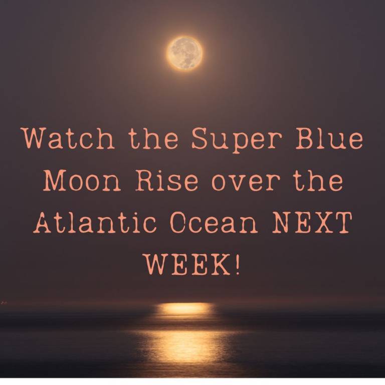 Experience the Magical moonrise of the Super Blue Moon August 30th